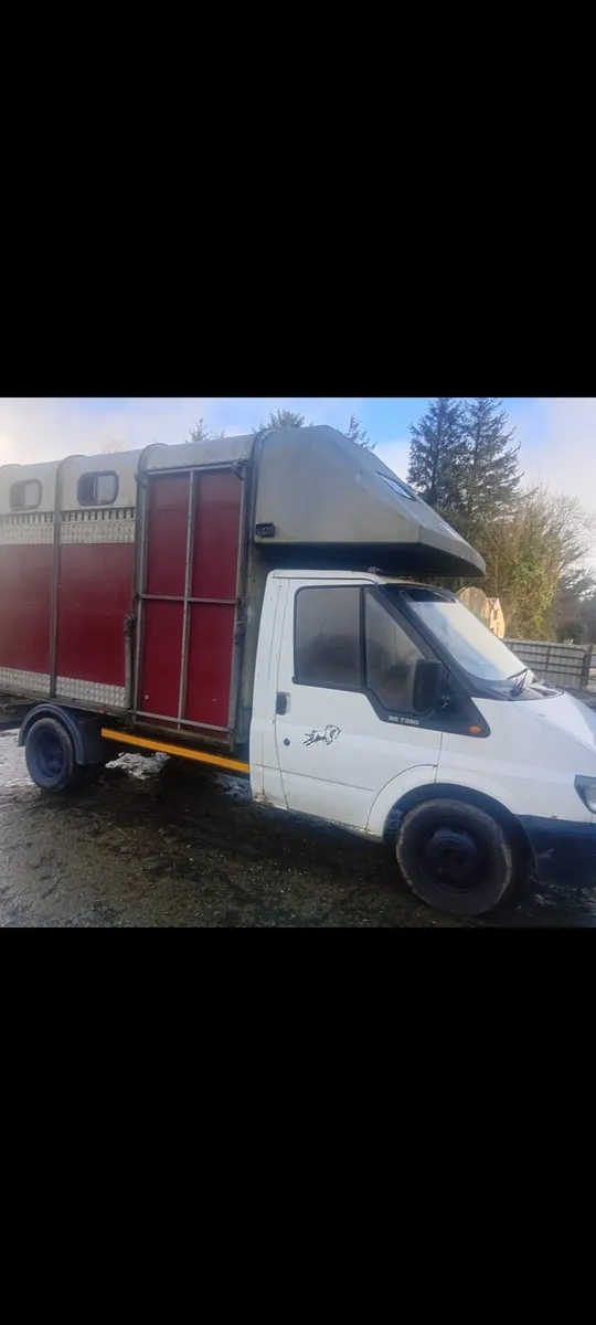 Ford transit horse truck - Image 4