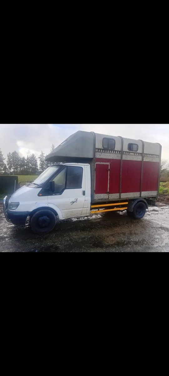 Ford transit horse truck - Image 1