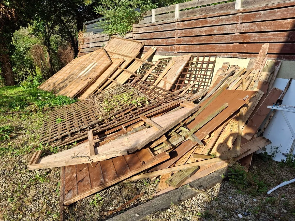 Free Wood to Take - Image 1