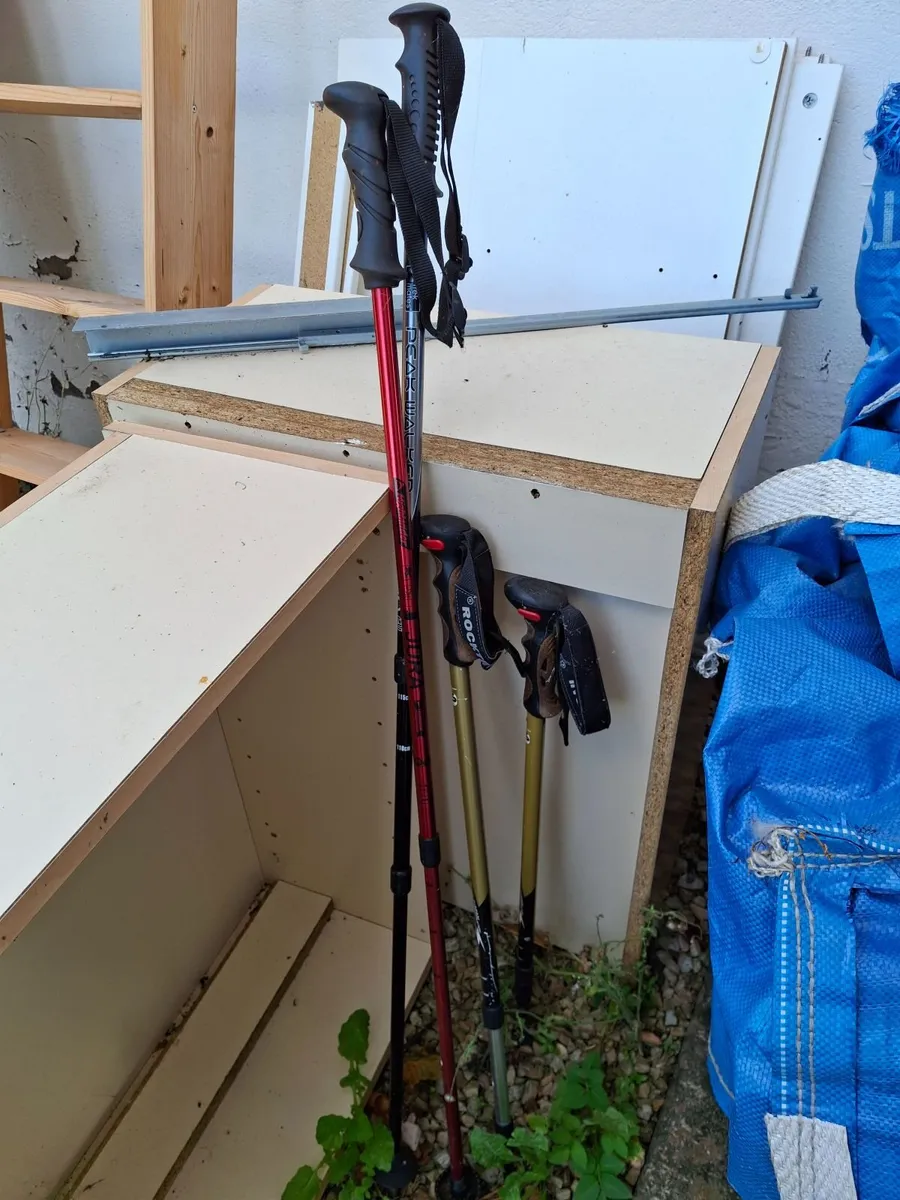 Free Wood to Take - Image 3