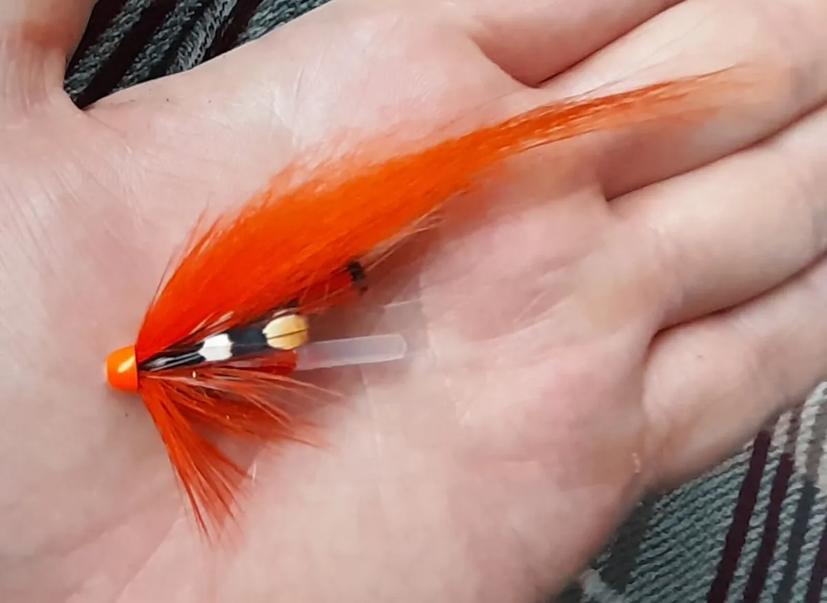 Salmon fly - Image 1