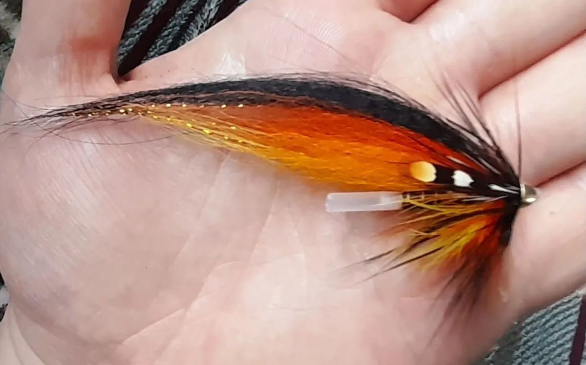 Salmon fly - Image 2