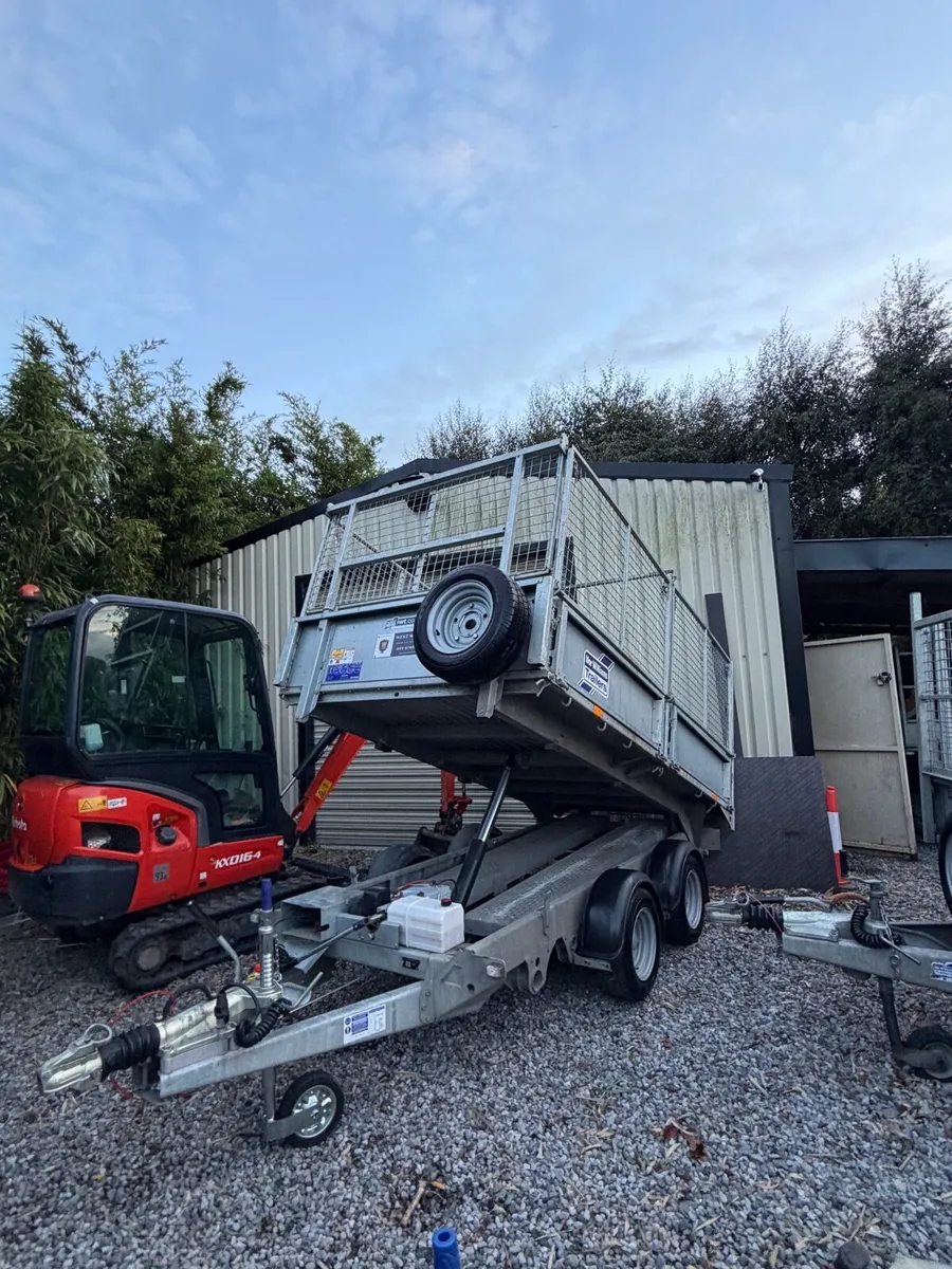 10x5,6 Tipper C/w high mesh - Image 1