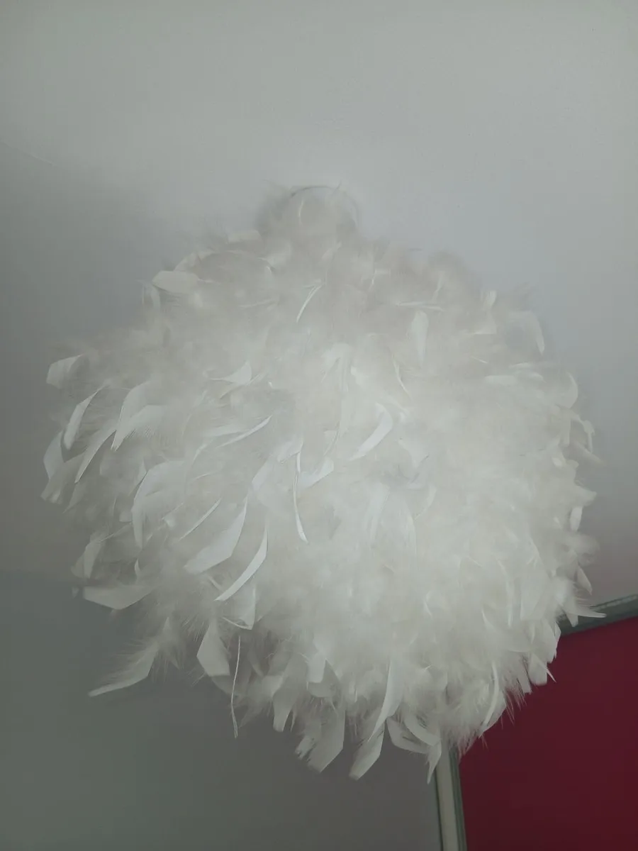 Light shade - Image 1