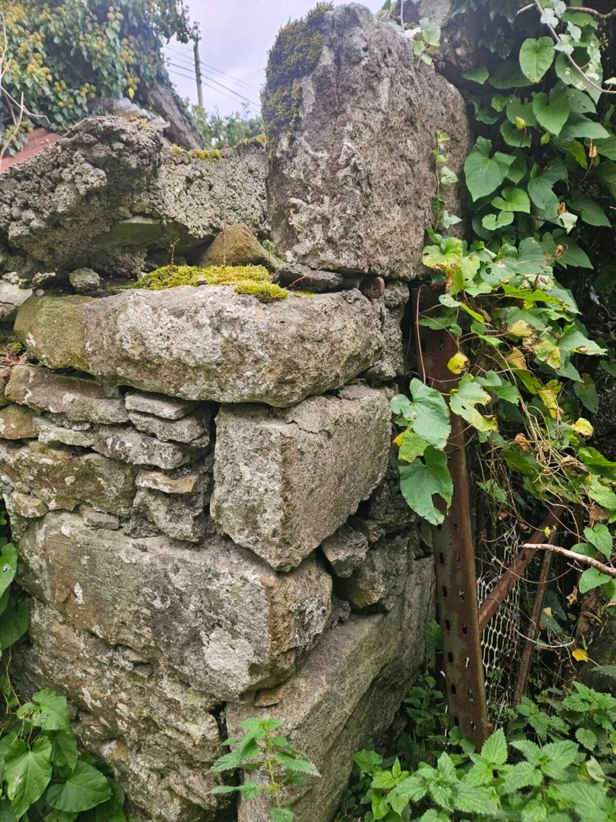 Stone - Image 4