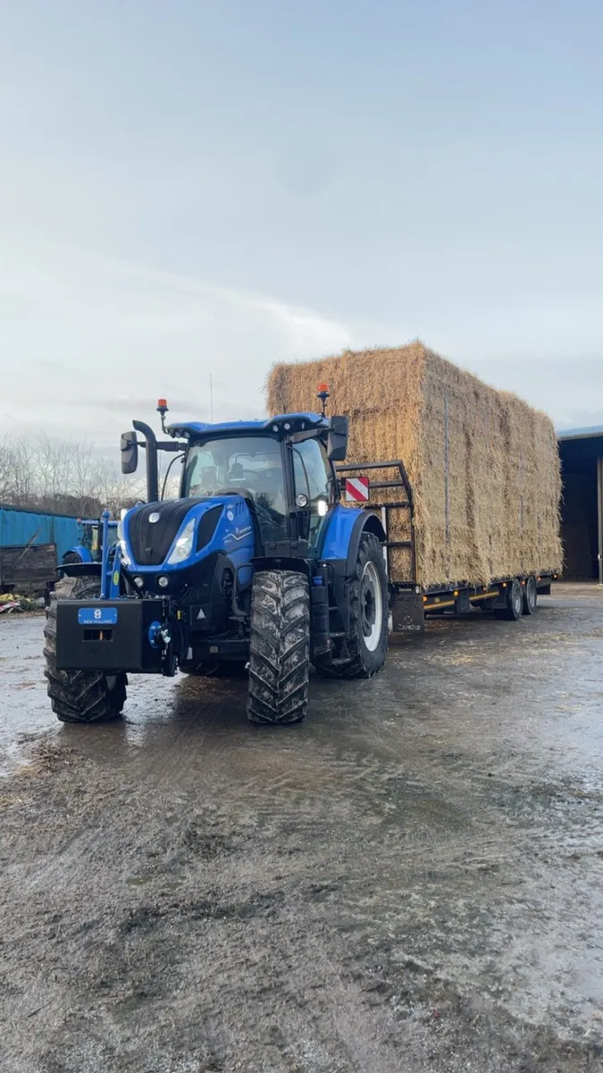 Top quality straw for sale - Image 1