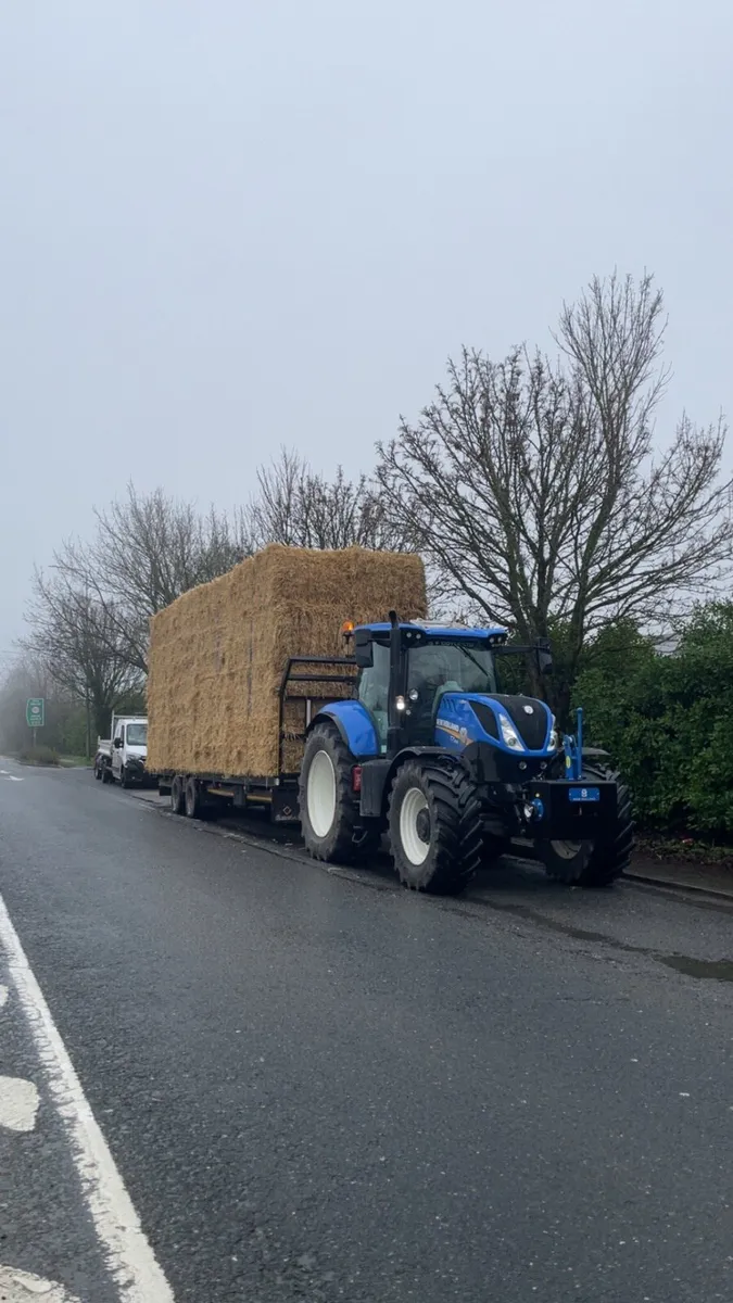 Top quality straw for sale - Image 2