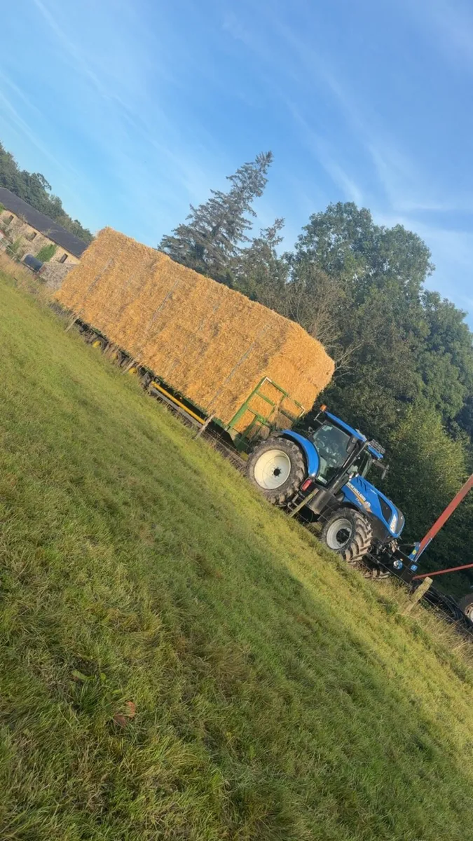 Top quality straw for sale - Image 4