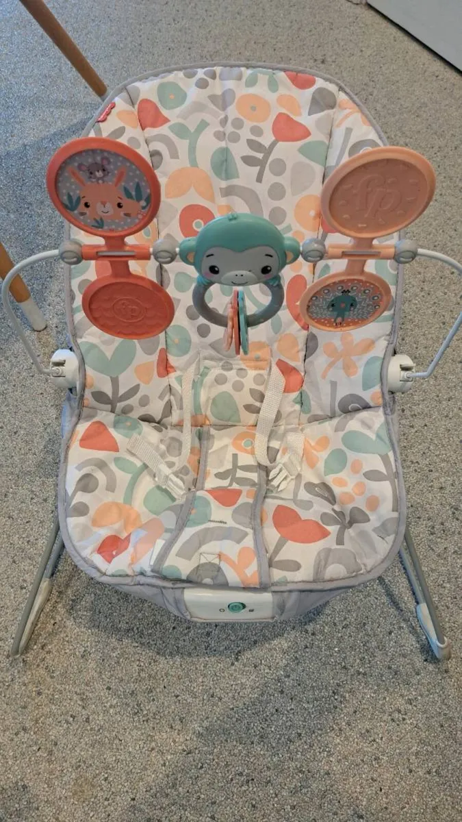 Baby bouncer