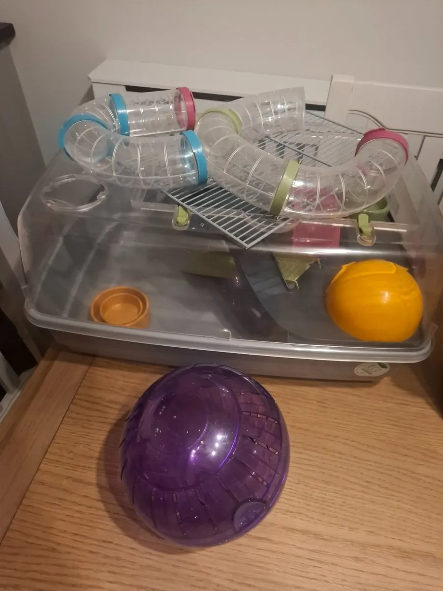 Hamster cage