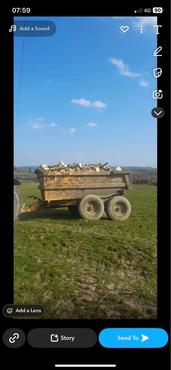 Firewood ash - Image 1