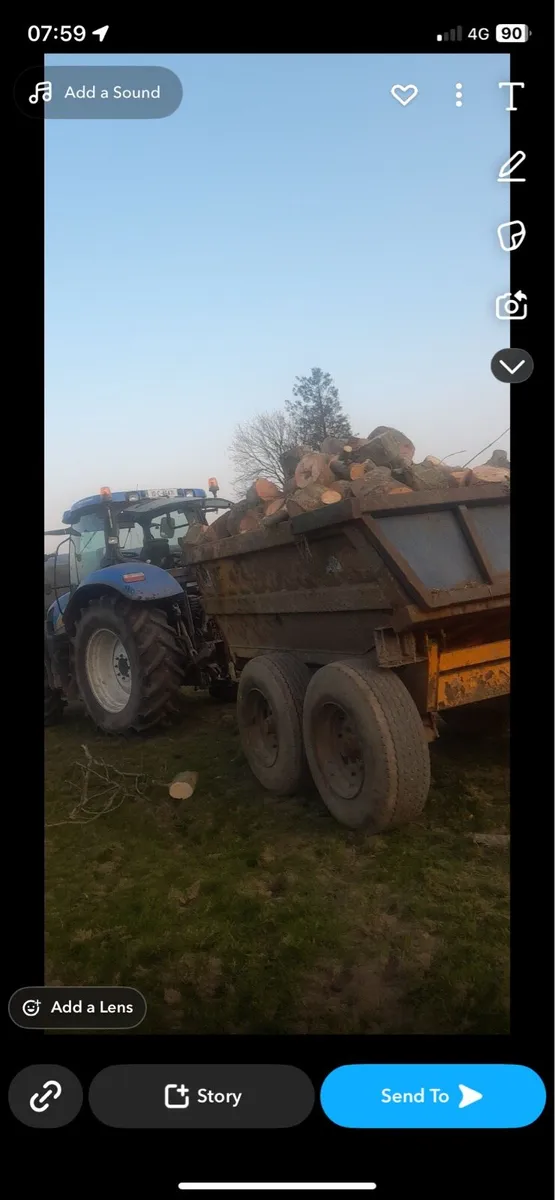 Firewood ash - Image 2