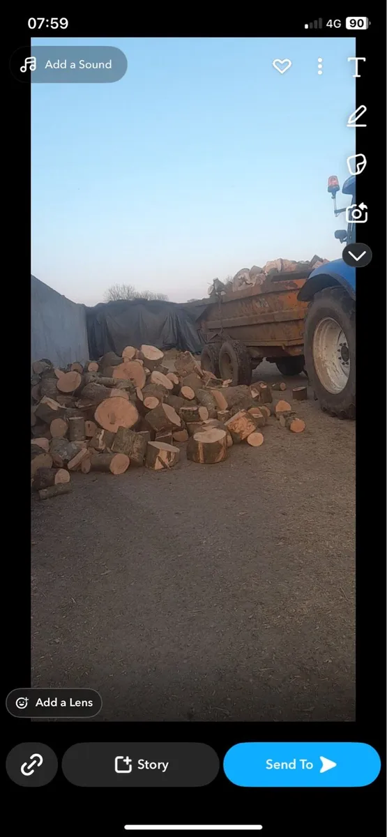 Firewood ash - Image 3