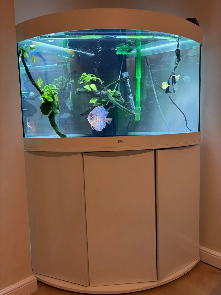 Fish tank - Image 1