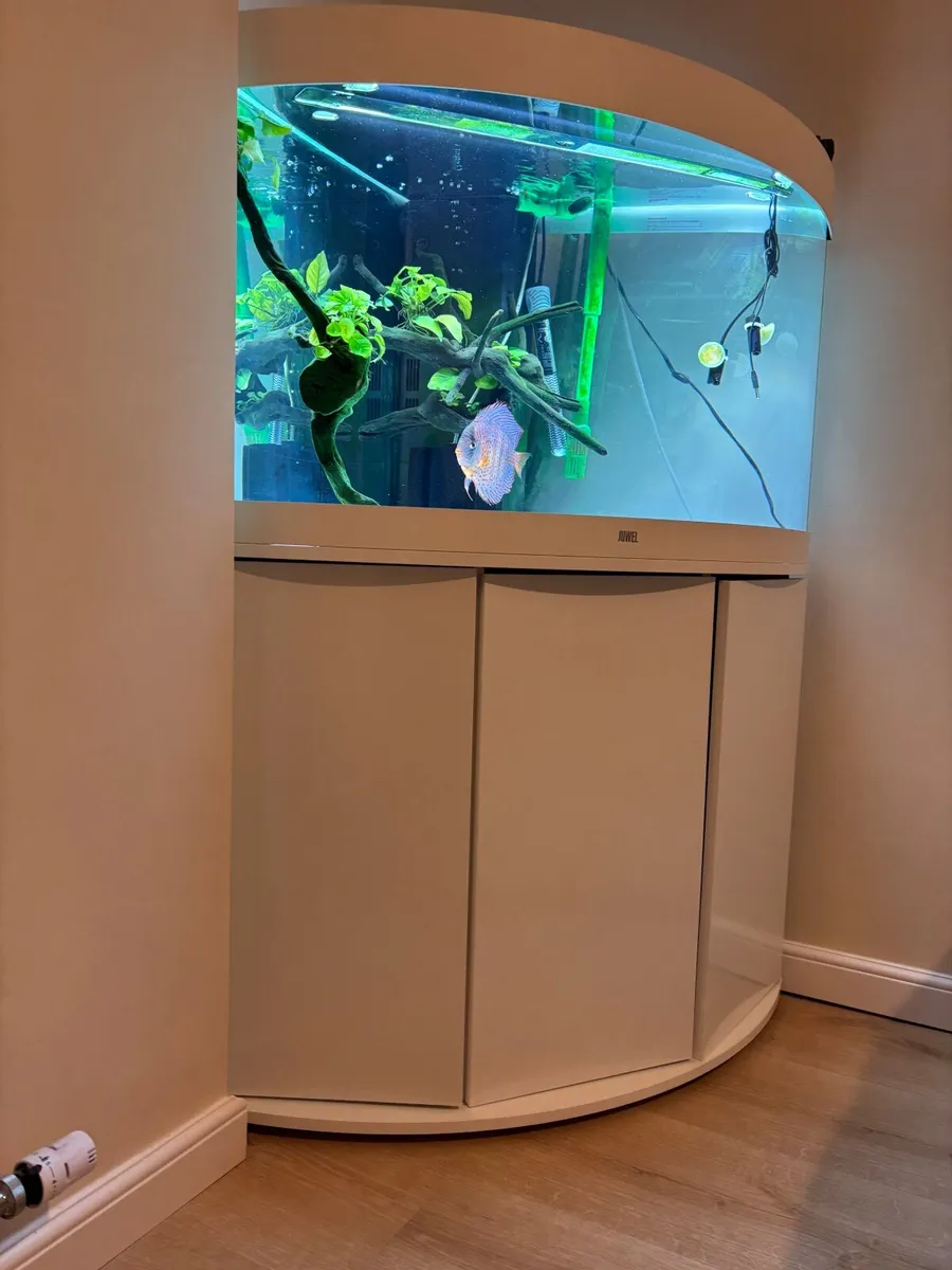 Fish tank - Image 2