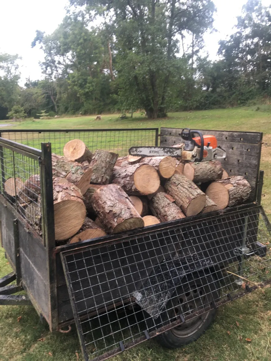 Hardwood firewood - Image 2