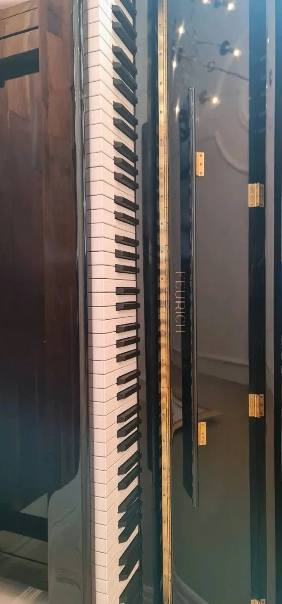 Piano - Image 3