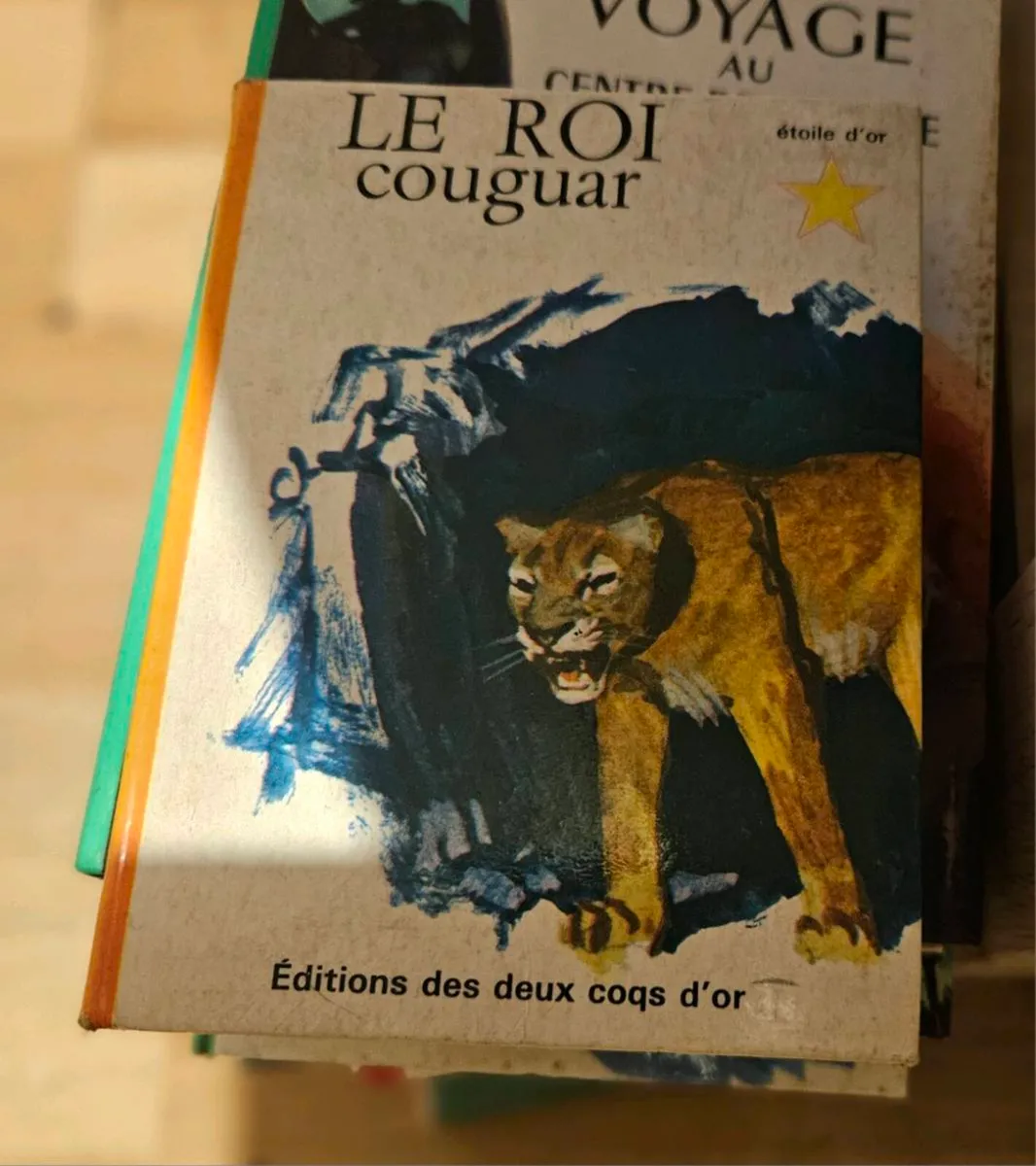 Set of Vintage French Children's Texts - Image 3
