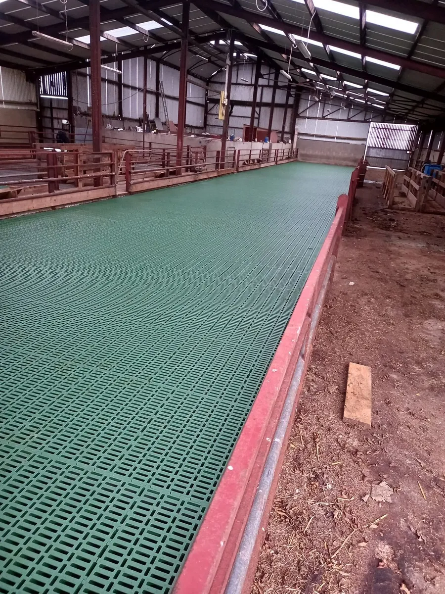 Plastic Sheep Slats - Image 4