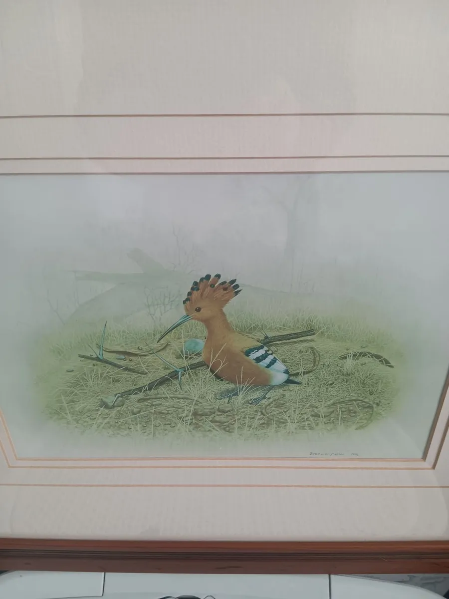 Wildlife print - Image 1