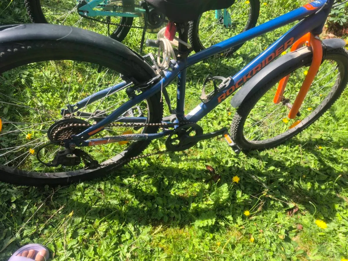 Bycycle - Image 3