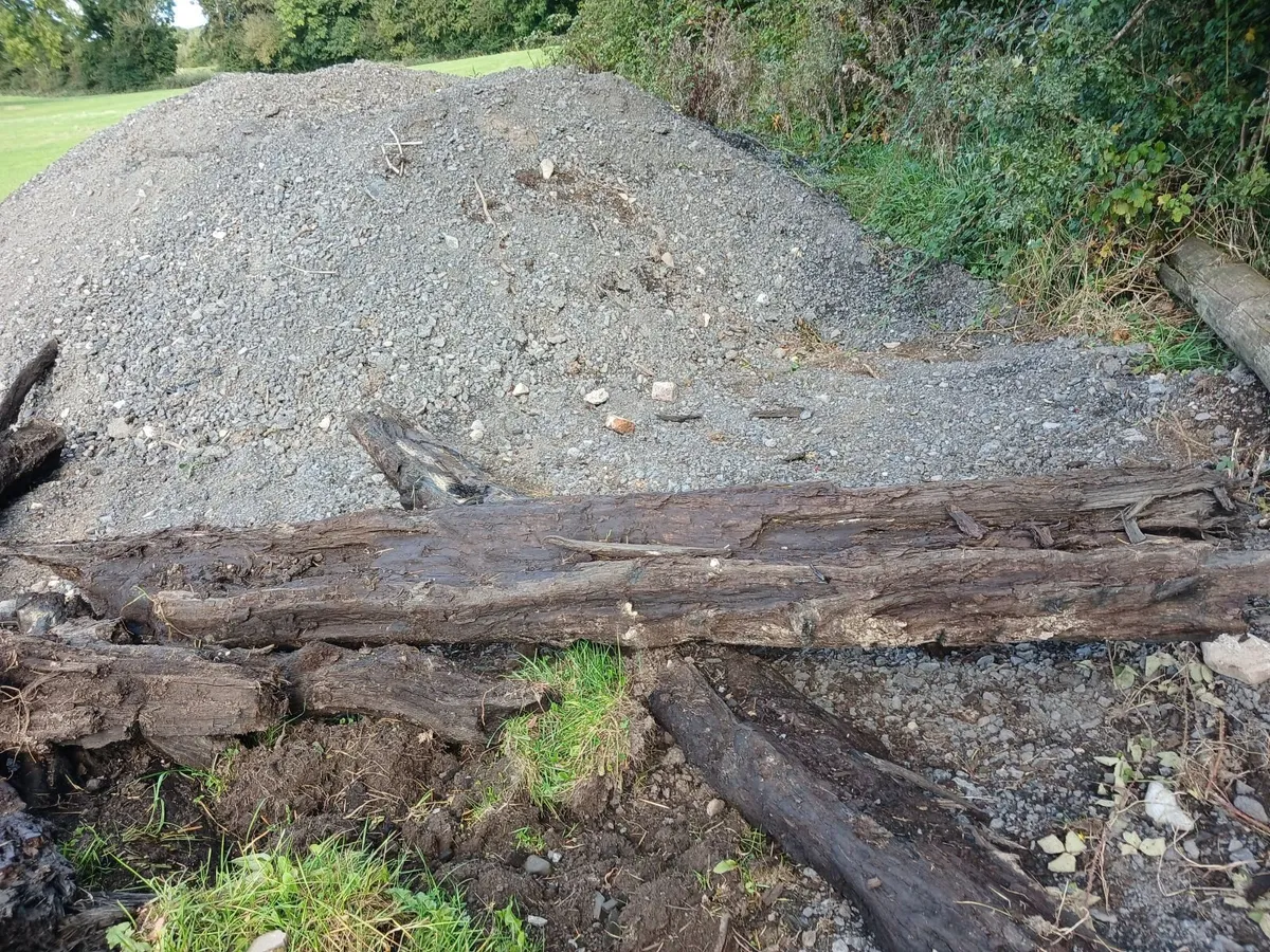 Bog Oak - Image 3