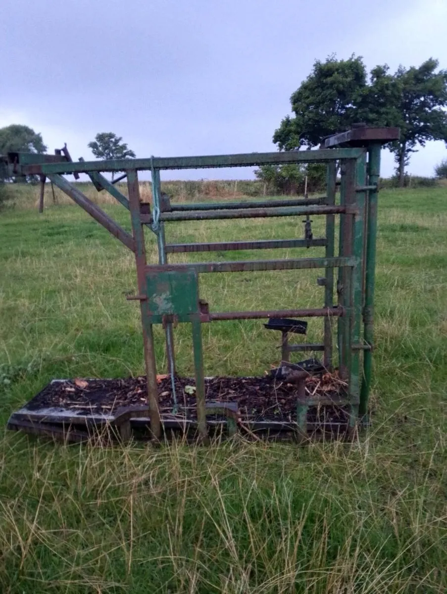 Portable cattle crush - Image 2