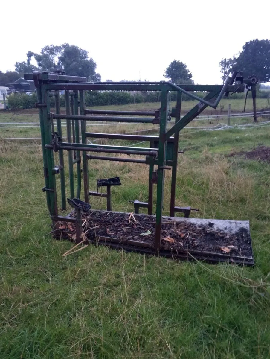 Portable cattle crush - Image 4