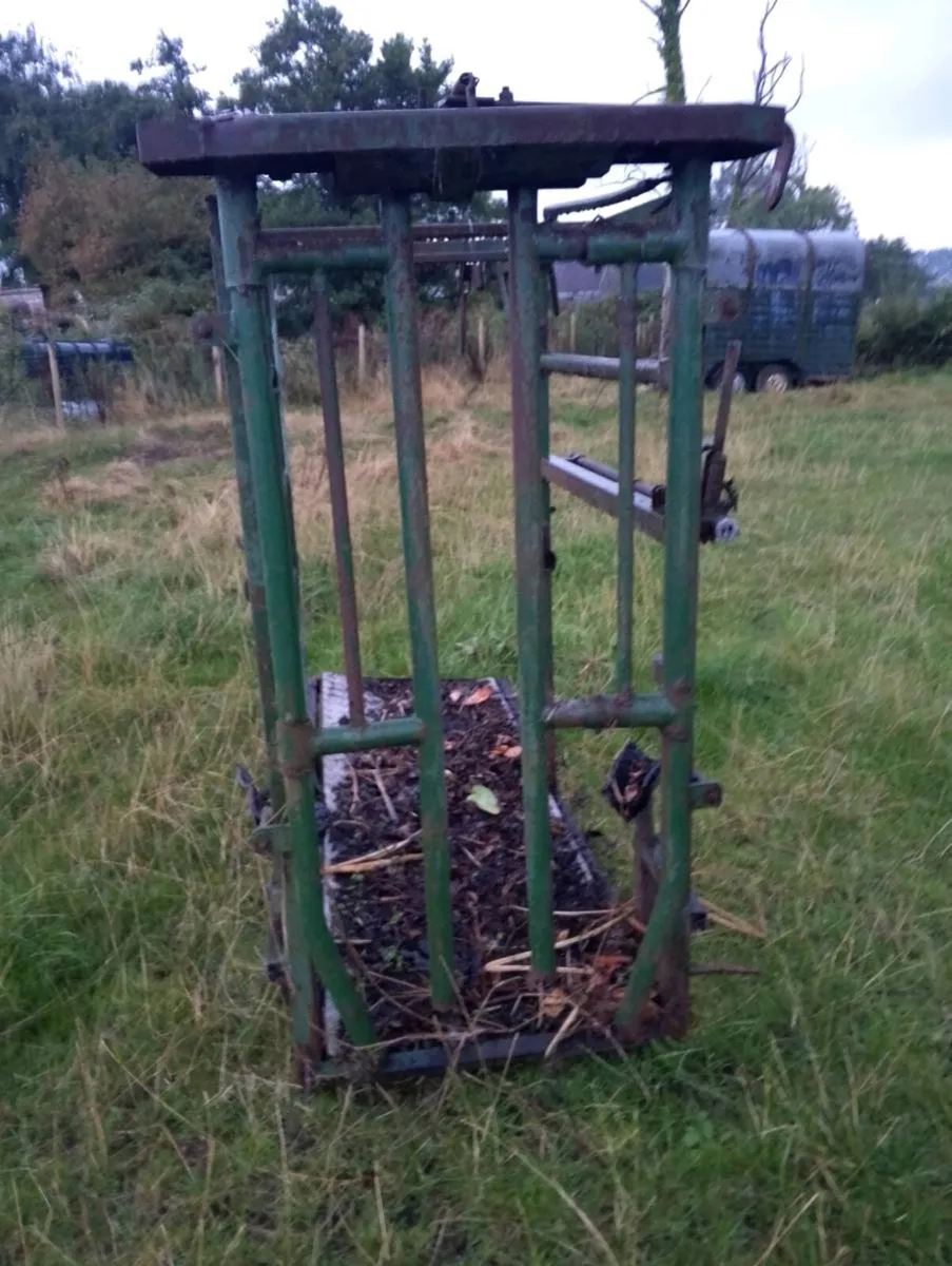 Portable cattle crush - Image 1