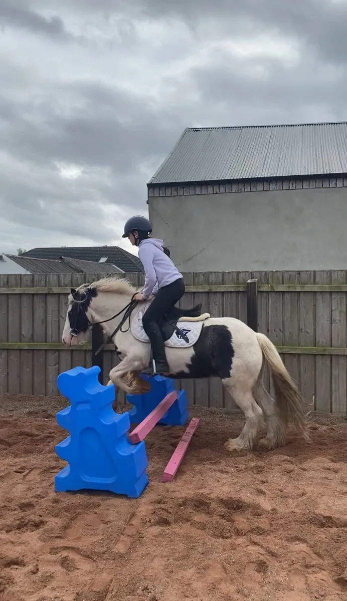 Kids pony. - Image 1