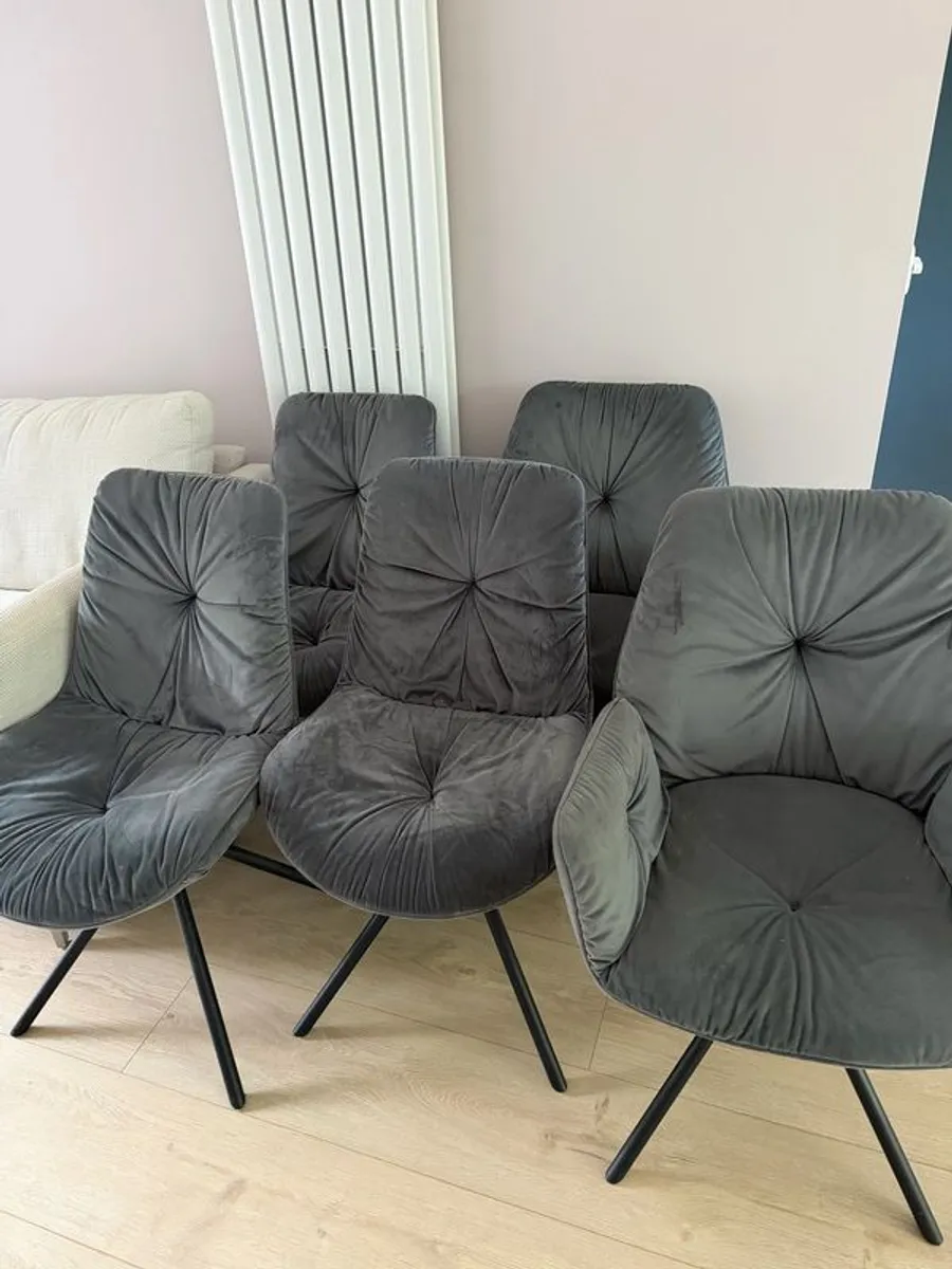 6 dining chairs for sale (2 carvers and 4 chairs) - Image 1