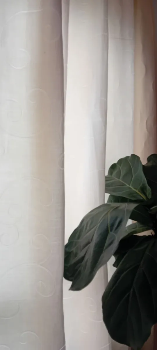 Cream curtains with wooden rail - Image 2