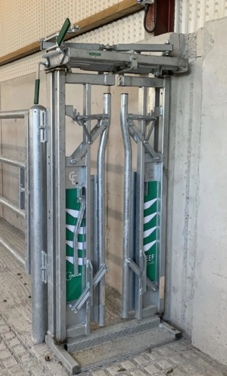 New condon beef head gate