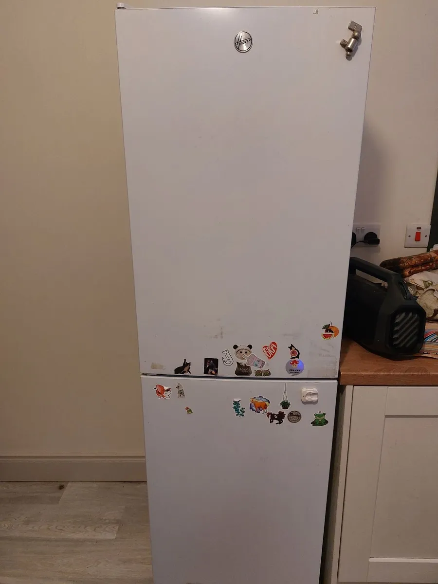 Fridge freezer - Image 1