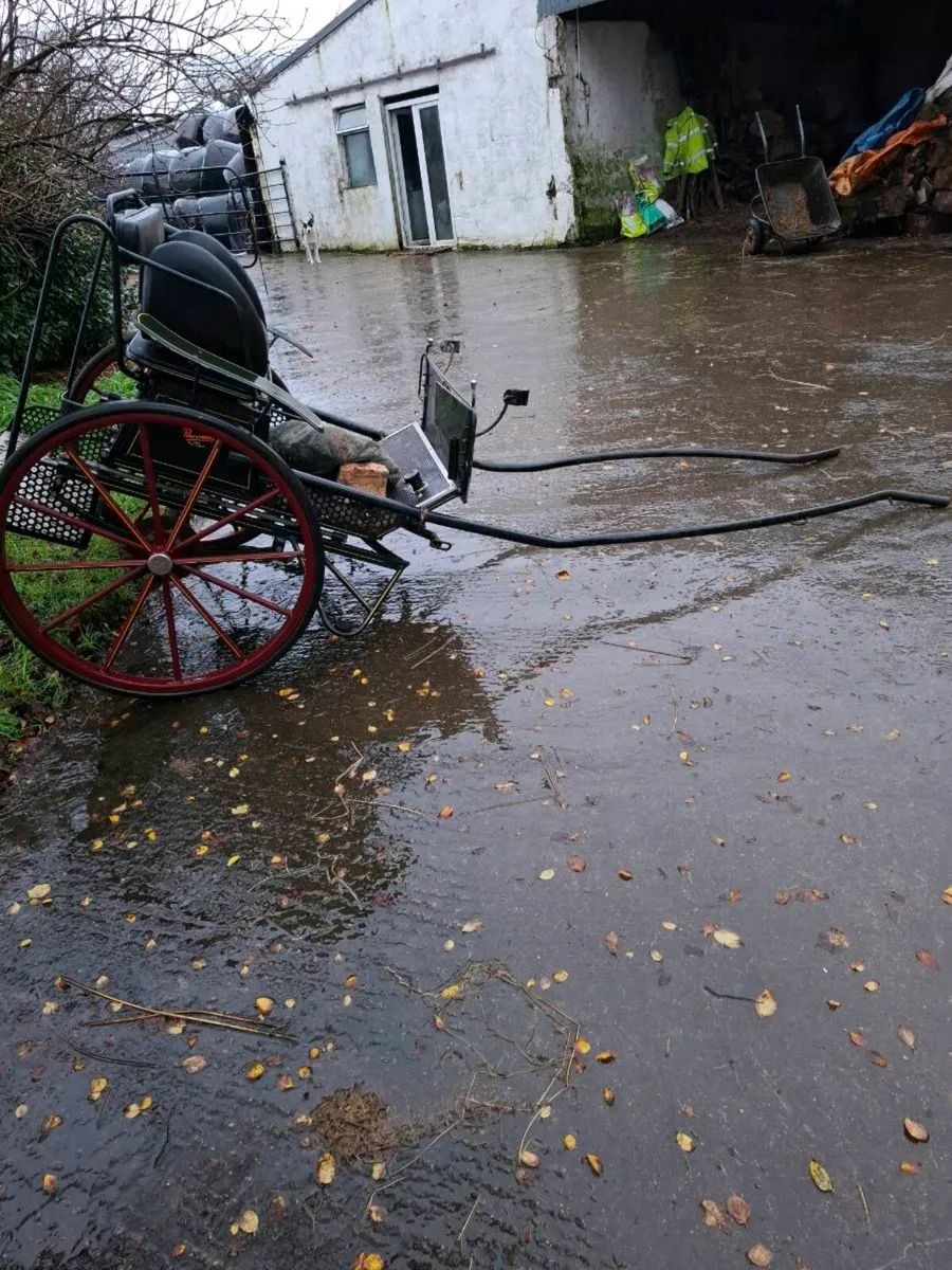 Carriage - Image 1