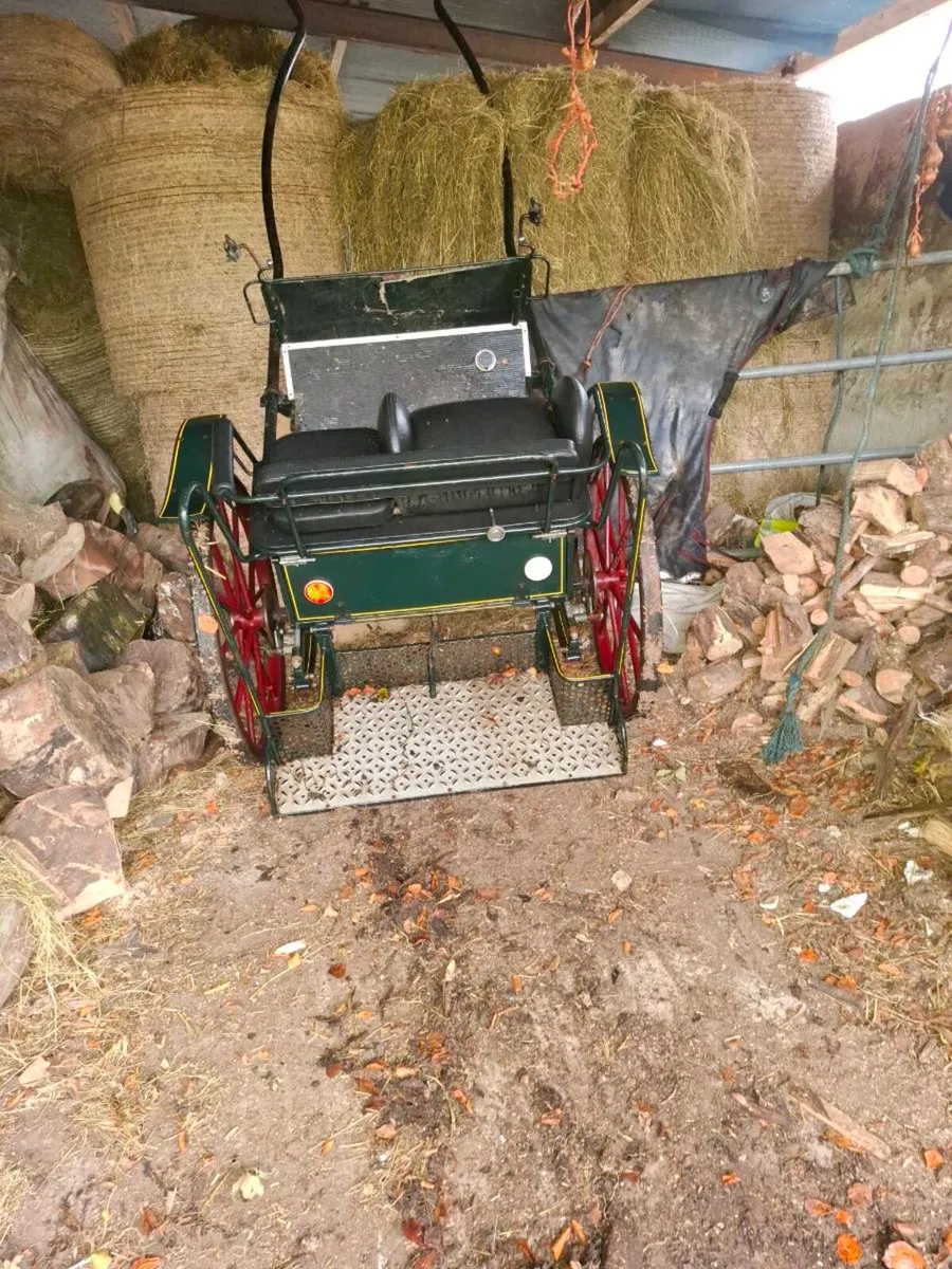Carriage - Image 2