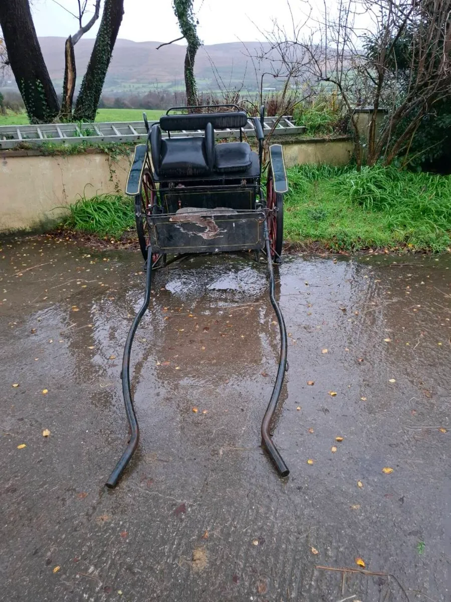 Carriage - Image 3