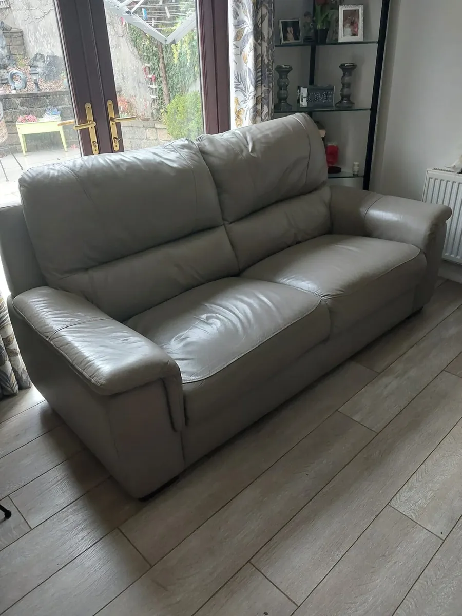 Sofa and single seater - Image 1