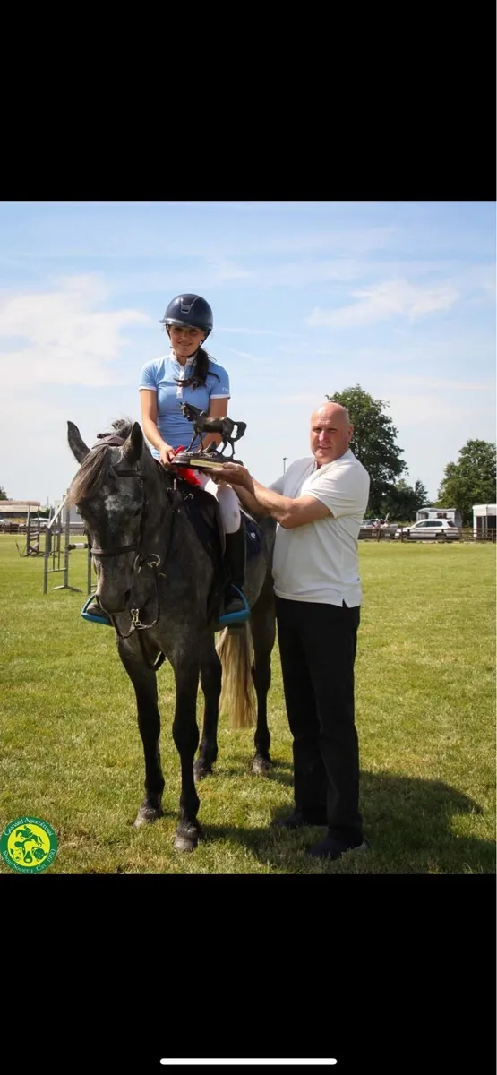 4yr full Connemara gelding with huge potential - Image 2