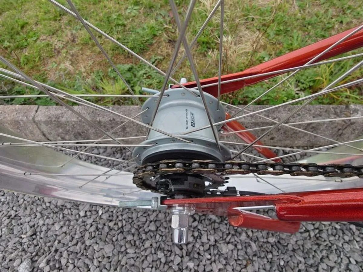 Custom cruiser bike build - Image 3