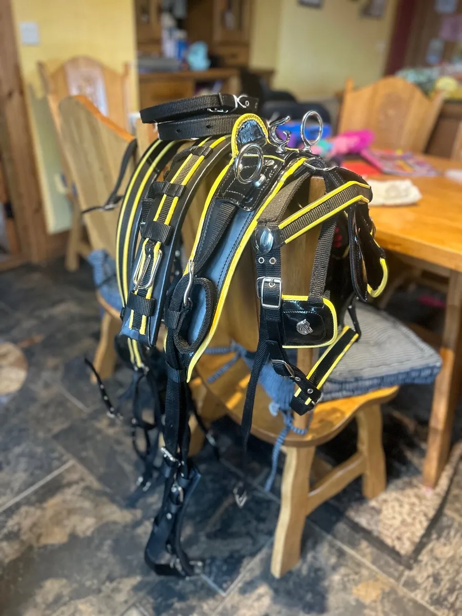 Bran new Shetland harness - Image 2