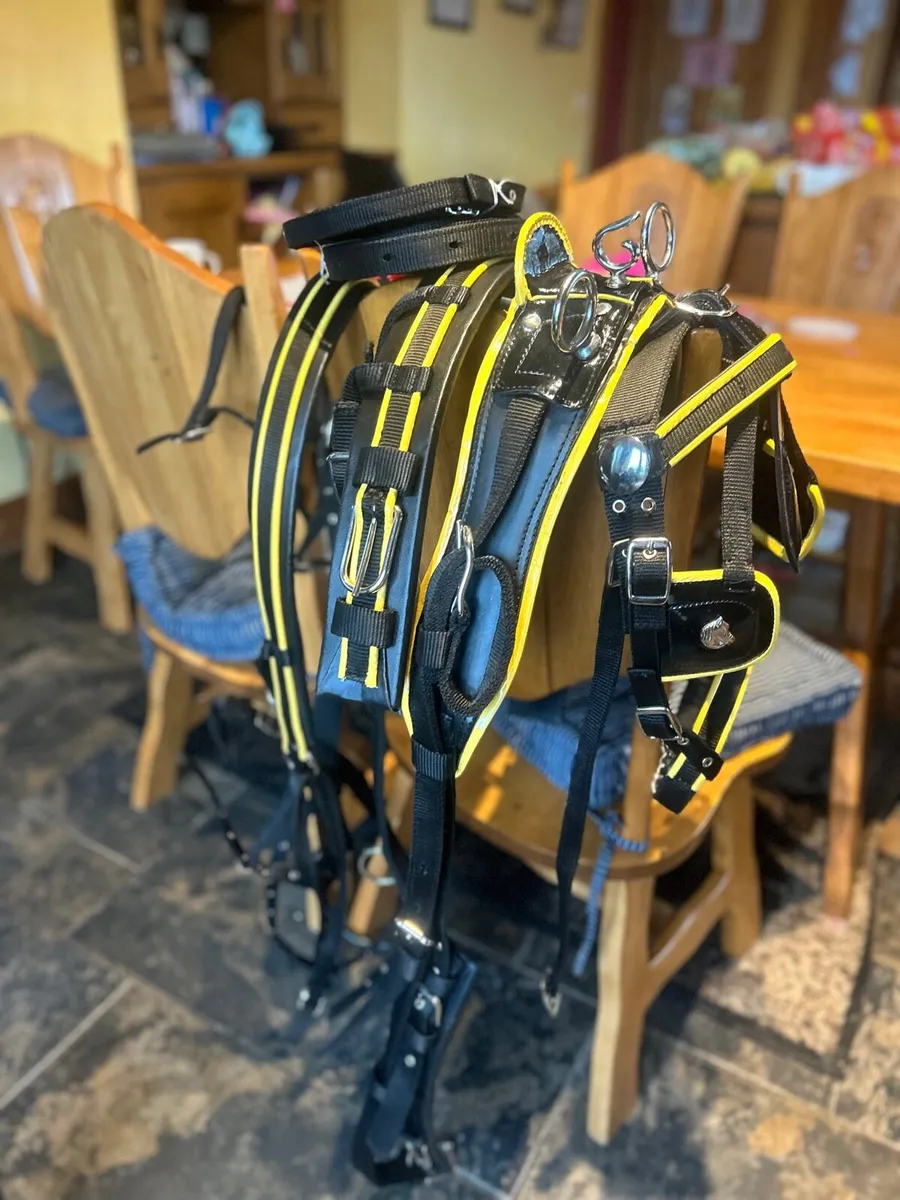 Bran new Shetland harness - Image 1