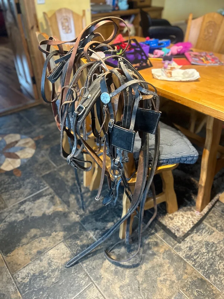 Leather pony harness - Image 1