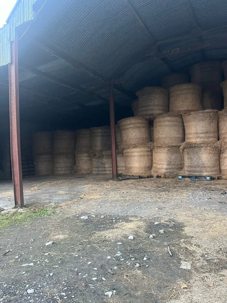 Quality Hay for sale - Image 3