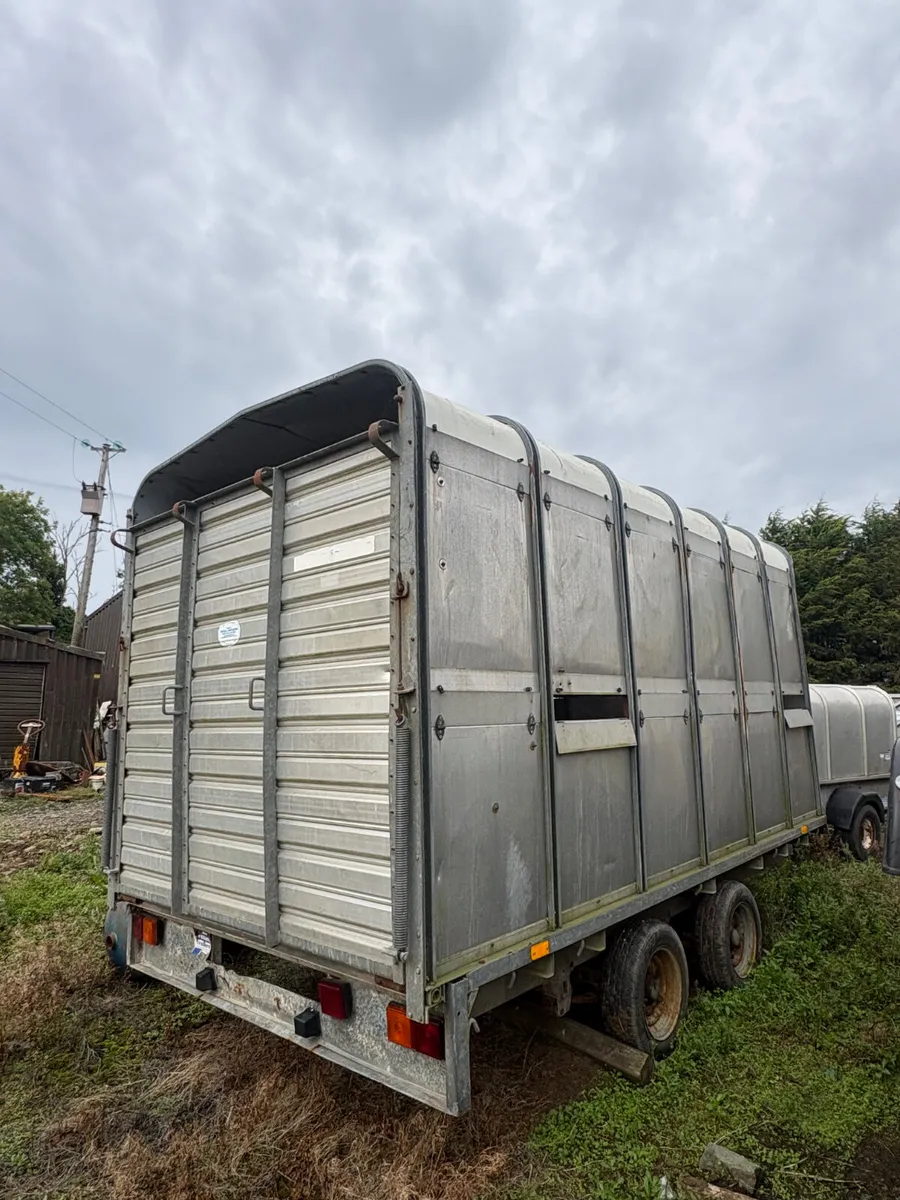 Ifor Williams 12ft dp cattle trailer - Image 2