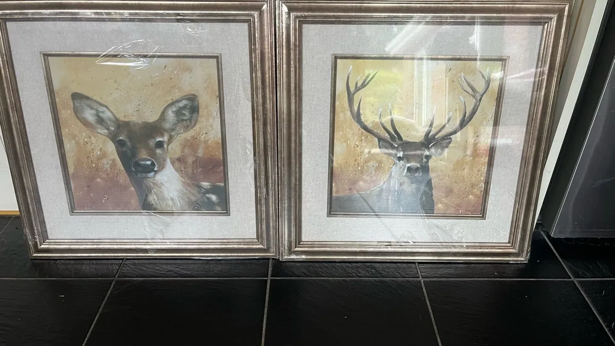 2 framed prints - Image 1