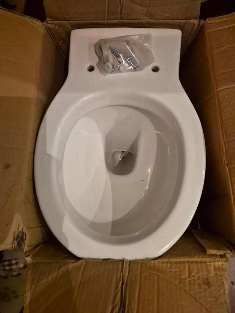 Toilet and Cistern - Image 1