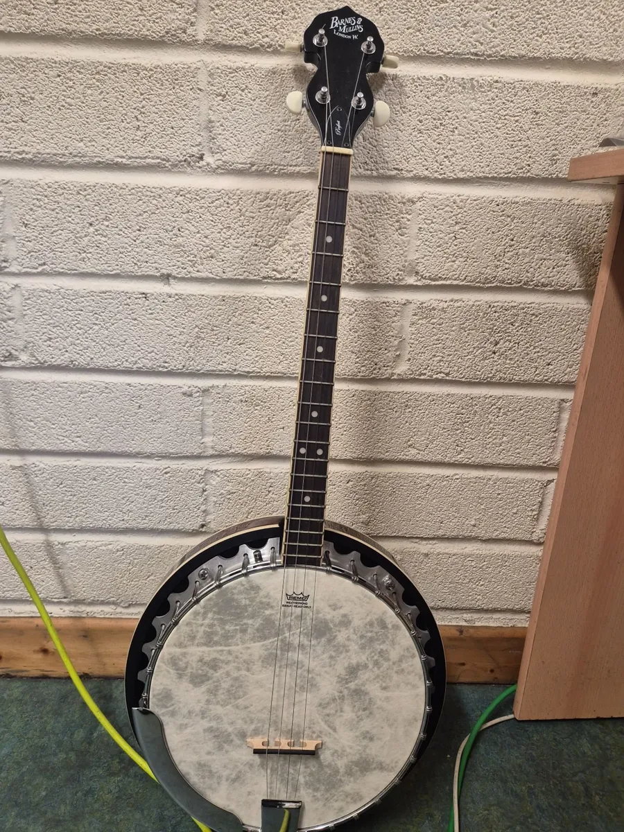 Banjo 4 string - Image 4