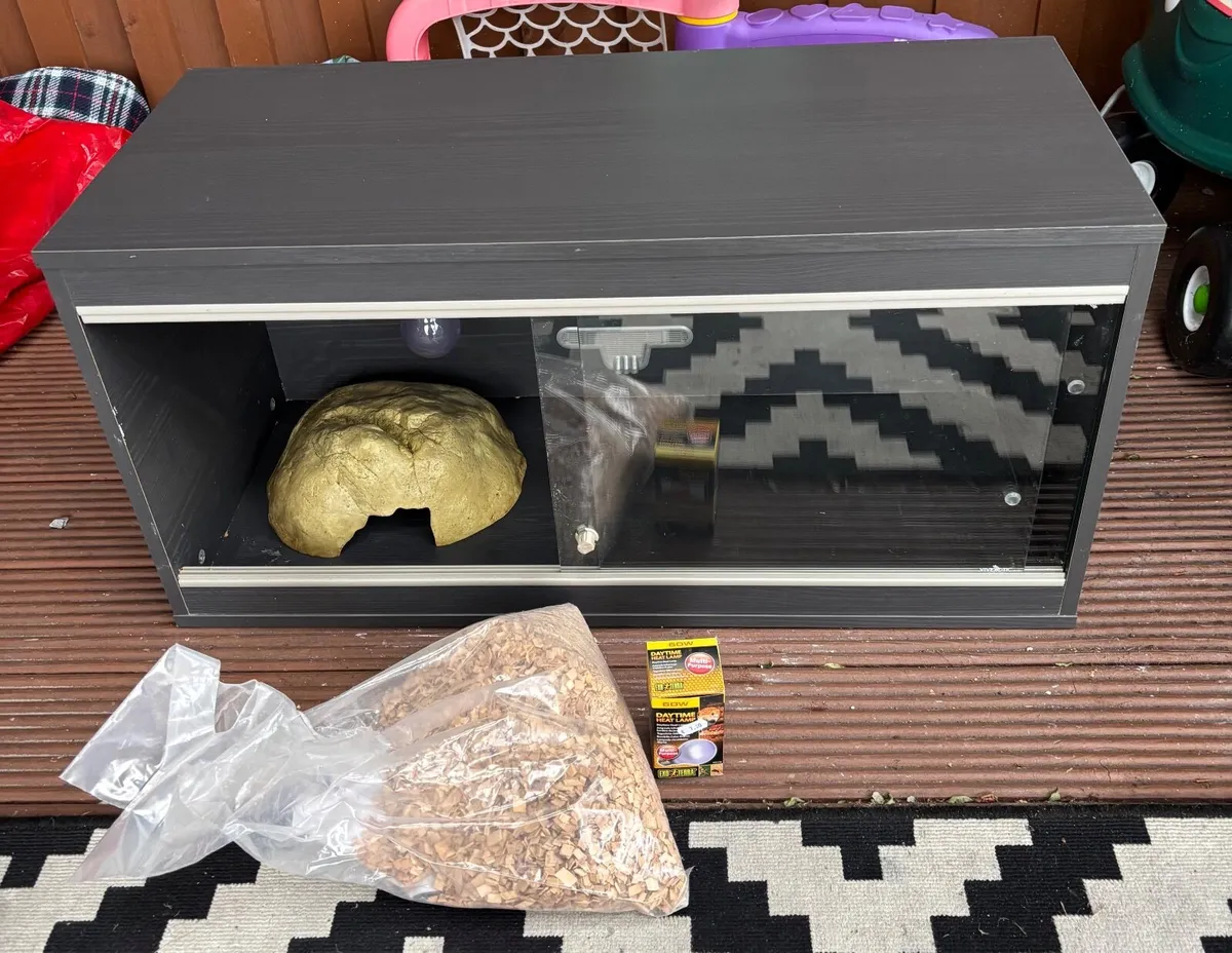 Vivarium with heat bulb and cave - Image 1