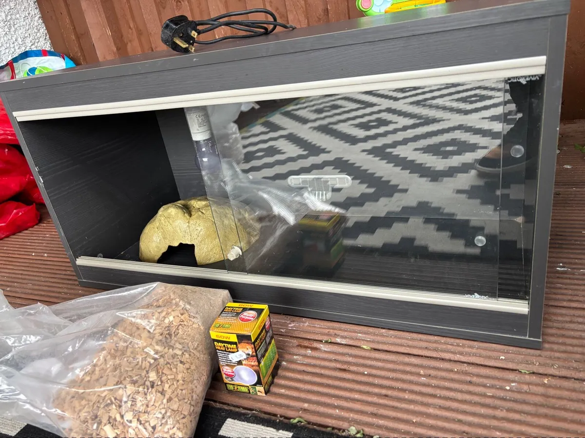 Vivarium with heat bulb and cave - Image 4